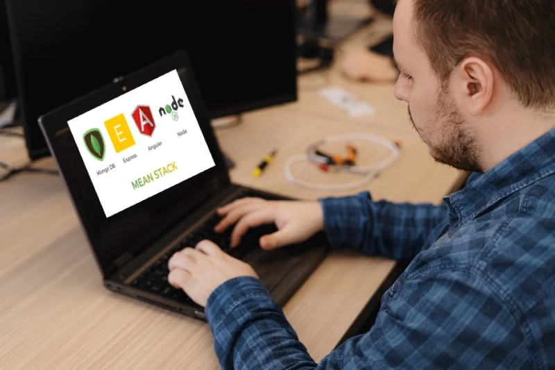 mean-stack-middle-spot